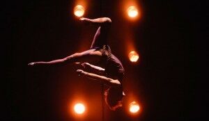 Circa - Wunderkammer by Emma McGovern - The Clothesline