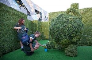 DotMaze3 - Royal Croquet Club Adelaide - The Clothesline