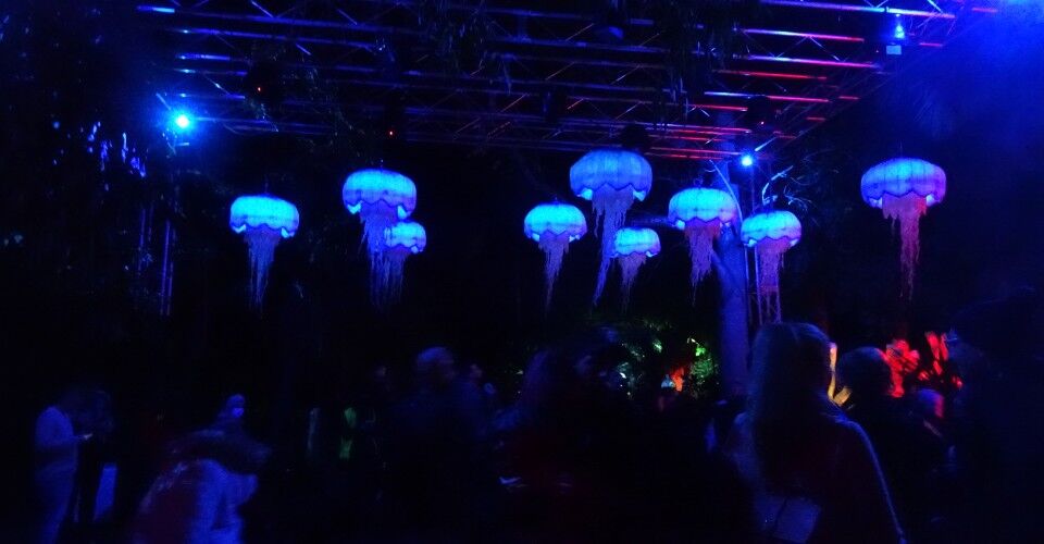 Light Creatures @ Adelaide Zoo: Illuminated Family Fun In The Wild ~ Festival Review